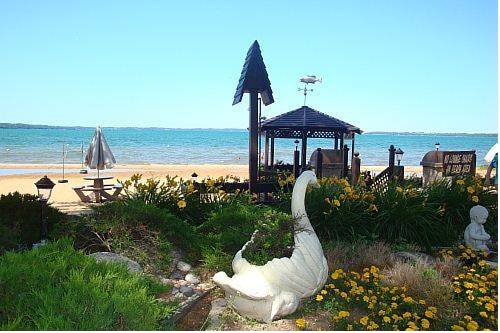 The Beach Haus Traverse City Use Coupon Code 17290397