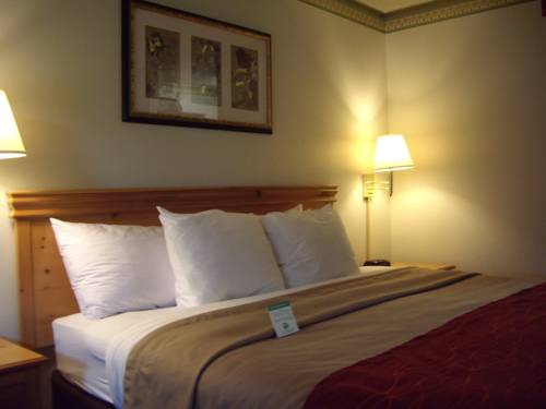 Comfort Inn Suites Sequoia Kings Canyon Three Rivers Three