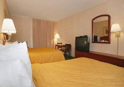 Comfort Inn Suites North At The Pyramids Indianapolis Room