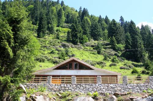 Ayder Cise Dag Evleri, Ayder Yaylasi Reviews, Photos, Room Rates
