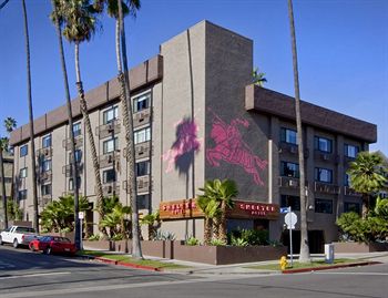 Shelter Hotel Los Angeles Use Coupon Code Results View