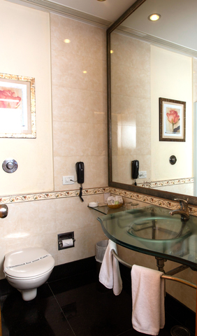 Hotel Regaalis Mysore Superior Room Hotel Regaalis Mysore Superior Room