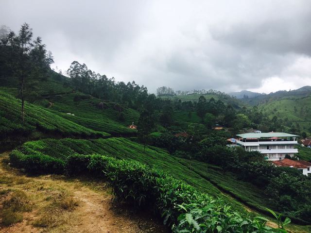 Malankara Cottage Munnar Use Coupon Code Hotels Get 10 Off