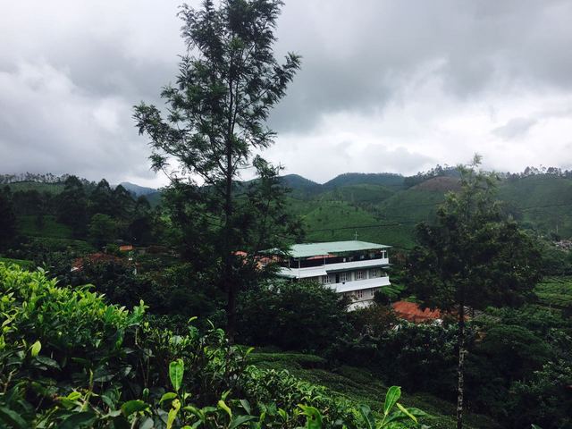 Malankara Cottage Munnar Use Coupon Code Hotels Get 10 Off
