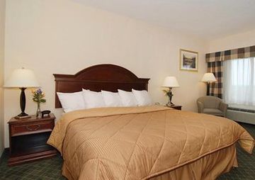 Comfort Inn East Windsor Windsor Reviews Photos Room Rates