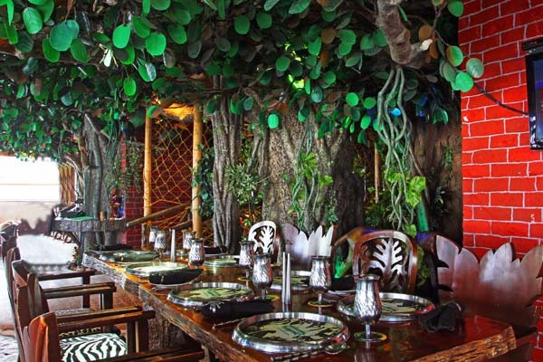 Hotel Ohri's Banjara Party Areas