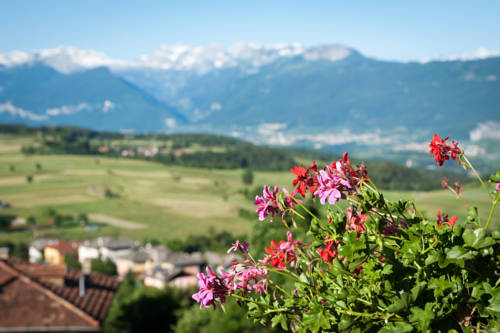 Blumen Hotel Bel Soggiorno, Malosco. Use Coupon Code HOTELS & Get 10 ... Blumen Hotel Bel Soggiorno, Malosco. Use Coupon Code HOTELS & Get 10 ...
