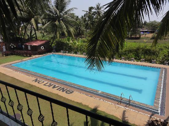 Swimming Pool Swimming Pool