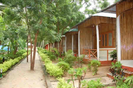 Tango Beach Resort Neil Island Use Coupon Code Festive Get Hotel Exterior