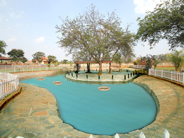 Coupons for dreams resorts