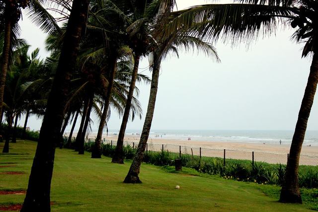 Planet beach coupons canada