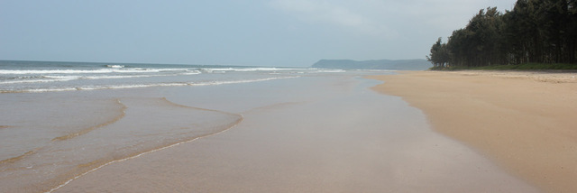 Camel Beach Resort Coupon Camel Beach Resort Coupon