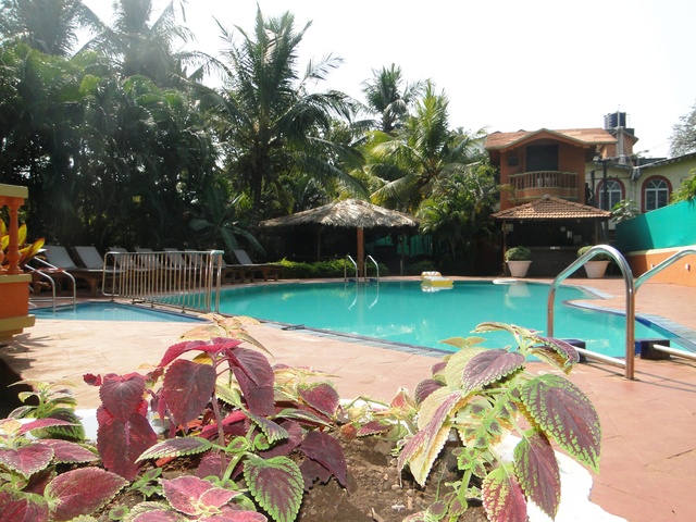 Ruffles Beach Resort Goa Use Coupon Code Festive Get Swimming Pool
